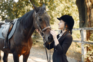 My Smart Horse