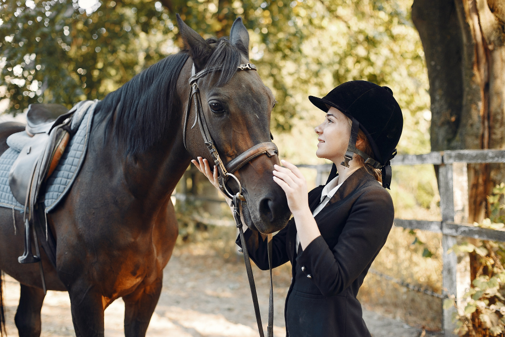 My Smart Horse